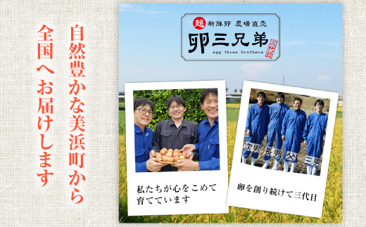 【定期便3ヶ月】匠の卵 20個(割れ玉補償２個）7％の卵｜たまご　卵　玉子　鶏卵　生卵　プレミアム　優秀賞　愛知県　美浜町　国産　産直　卵黄　卵かけご飯