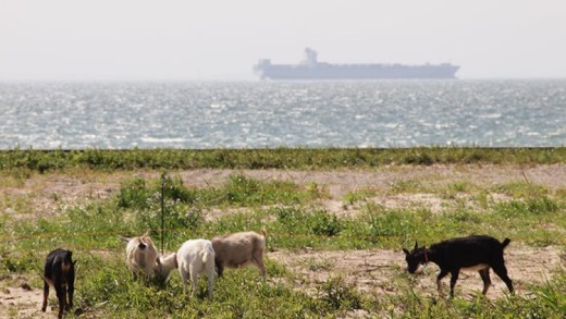 ãäœéšåè¿ç€Œåãã€ã®ã®é£Œè²å¡ããäœéšã³ãŒã¹ïŒæ¥å Ž/3æéïŒ2å