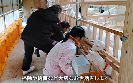 【体験型返礼品】ヤギの飼育員さん体験コース（来場/3時間）2名（愛知ヤギ農場）