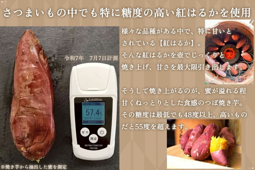 【つぼ焼き芋はなび】つぼ焼き芋干し芋　625g（125g×5袋）｜ 焼き干し芋 干し芋 ほしいも 干しいも ほし芋 焼き芋 やきいも つぼ焼き芋 さつまいも サツマイモ 人気 お菓子 おやつ スイーツ ランキング 取り寄せ おすすめ プレゼント ギフト 小分け 個包装 愛知県 美浜町