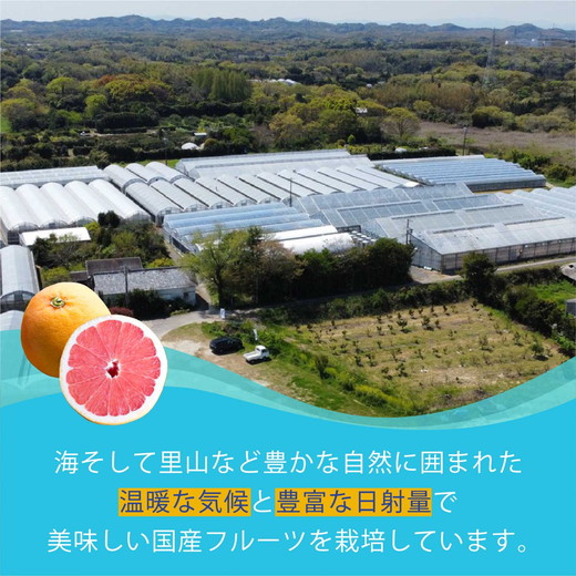 ãå
è¡åä»äºçŽãåœç£ã°ã¬ãŒããã«ãŒã å®¶åºçš7kgïŒ15ïœ20çïŒ èš³ãã ææ© ã¹ã¿ãŒã«ã㌠ããŒã¯ãã¯ã¹ é²è
å€ãªã æç© ãžã¥ãŒã¹ ãžã£ã éæ æ¬ ã¢ãã ã§ããã ã蟲è¬ã䜿ããªã â»2026幎5æäžæ¬ïœ8æäžæ¬é ã«é 次çºéäºå®