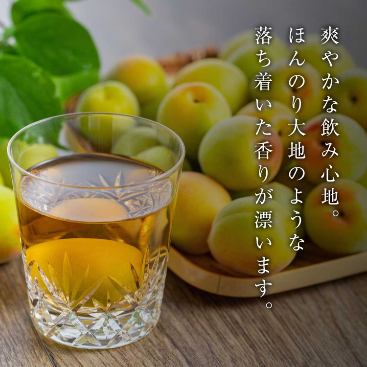 知多梅酒720ml 1ケース ◆ ❘ 梅酒　お酒　國盛　國盛FARM　果実酒　食前酒　リキュール　ロック　ソーダ割　紅南高梅　南高梅　完熟梅　フルーツ　愛知県　美浜町　中埜酒造