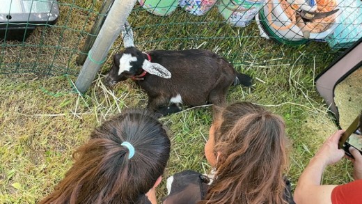 ãäœéšåè¿ç€Œåãçãã®ã€ã®ã»ã©ããŒäœéšïŒæ¥å Ž/1æé/1åïŒ