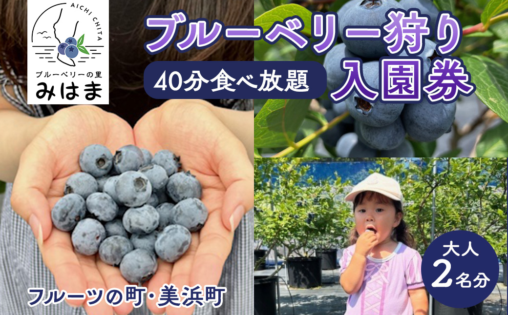 【食べ放題！】ブルーベリ狩り入園券 大人2名分