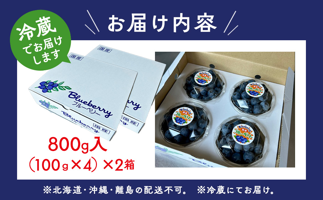 【数量＆期間限定】国産大粒ブルーベリー　100g×8パック入り ※2025年6月中旬～8月中旬に順次発送予定 ※北海道・沖縄・離島への配送不可