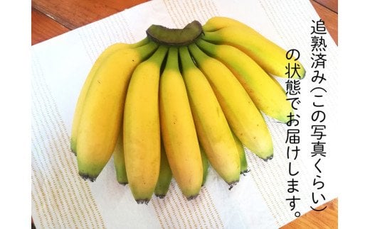 超希少！国産完熟バナナ（モッチリ系の品種）たっぷり3kg すぐ食べられる状態でお届け！