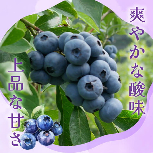 大粒ブルーベリー品種ミックス 125g×6パック 果物 くだもの フルーツ ヨーグルト ジャム 国産 愛知県産 ※2026年6月上旬～8月上旬頃に順次発送予定 ※北海道・沖縄・離島への配送不可