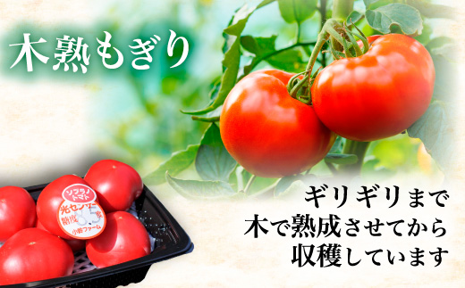 å®çãããé£ã¹æ¯ã¹ã»ããçŽ1kg 3çš®é¡ã®ããã çŸå³ããéžå¥ ïœãšãŸãš ããã æžèŸ²è¬ éè ããã äººæ° æ°é®® ç£å°çŽé çŽå£² çã é«ç³åºŠ å®ç ãªã³ãã³ ãã¿ãã³ ãã€ãšãã çŸå®¹ çŸè æç¥ç çŸæµçº â»2026幎1æäžæ¬ïœ5æäžæ¬é ã«é 次çºé