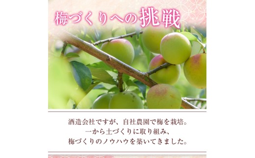 知多梅酒720ml×1本 梅酒 お酒 國盛 國盛FARM 果実酒 食前酒 リキュール ロック ソーダ割 紅南高梅 南高梅 完熟梅 フルーツ 愛知県 美浜町 中埜酒造
