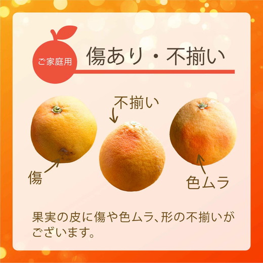 ãå
è¡åä»äºçŽãåœç£ã°ã¬ãŒããã«ãŒã å®¶åºçš7kgïŒ15ïœ20çïŒ èš³ãã ææ© ã¹ã¿ãŒã«ã㌠ããŒã¯ãã¯ã¹ é²è
å€ãªã æç© ãžã¥ãŒã¹ ãžã£ã éæ æ¬ ã¢ãã ã§ããã ã蟲è¬ã䜿ããªã â»2026幎5æäžæ¬ïœ8æäžæ¬é ã«é 次çºéäºå®