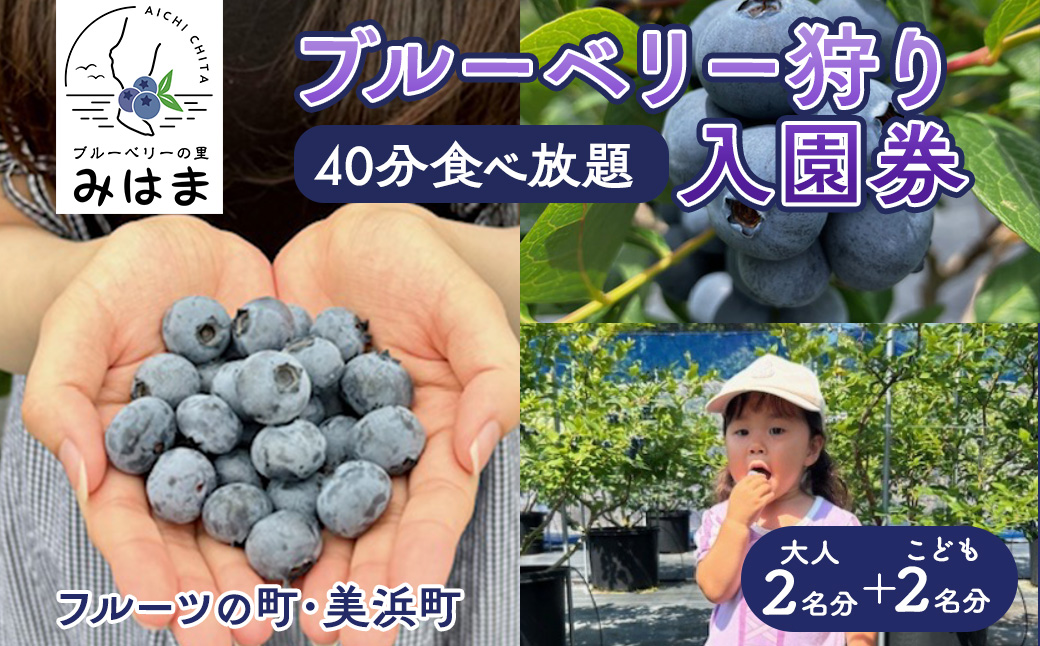 【食べ放題！】ブルーベリ狩り入園券 大人2名分+子供2名分