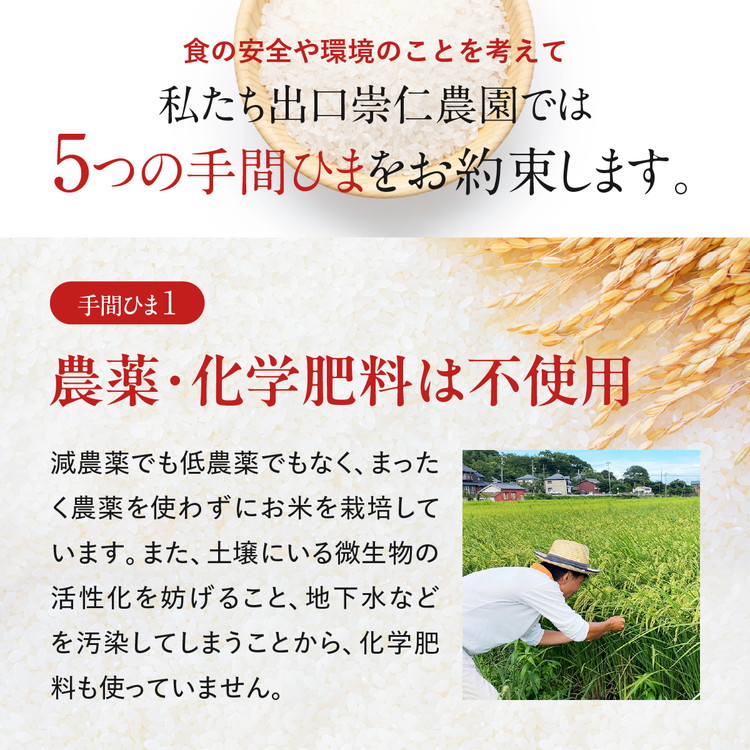 令和5年産 出口崇仁農園のコシヒカリ 有機栽培米【定期便6回】【白米5kg】世界に一つだけのお米 ※着日指定不可 ※離島への配送不可