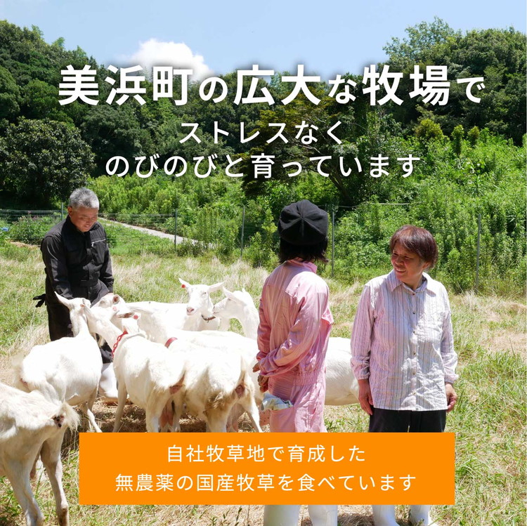 【国産高品質】粉末ヤギミルク 200g×1袋（愛知ヤギ農場産）◇ | 犬 猫 無添加 無着色 パウダー※離島への配送不可