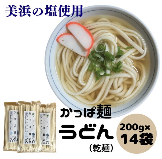 かっぱ麺　うどん　1箱14袋入り ≪ウドン 饂飩 美浜の塩 愛知県 特産品≫◇