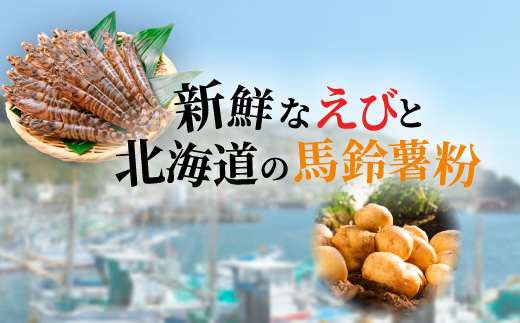 BIGなイカの鉄板焼きとえびせんべい13袋の詰合せ 光栄堂 バラエティパック 人気13種 海鮮せんべい えび いか おつまみ おやつ おすすめ ※北海道・沖縄・離島への配送不可