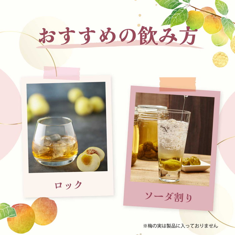 知多梅酒720ml 1ケース ◆ ❘ 梅酒　お酒　國盛　國盛FARM　果実酒　食前酒　リキュール　ロック　ソーダ割　紅南高梅　南高梅　完熟梅　フルーツ　愛知県　美浜町　中埜酒造