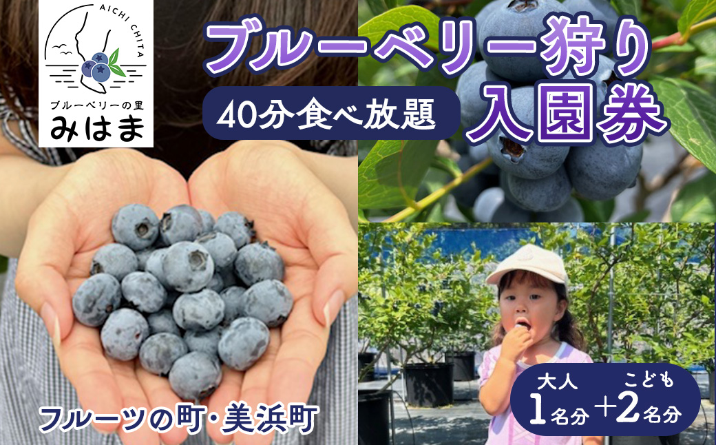 【食べ放題！】ブルーベリ狩り入園券 大人1名分+子供2名分