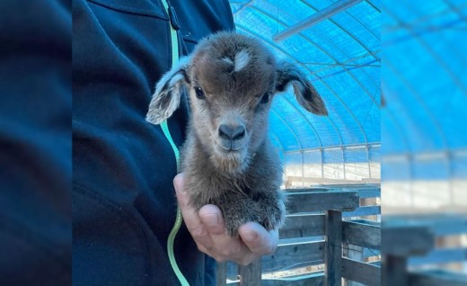 ãäœéšåè¿ç€Œåãçãã®ã€ã®ã»ã©ããŒäœéšïŒæ¥å Ž/1æé/1åïŒ