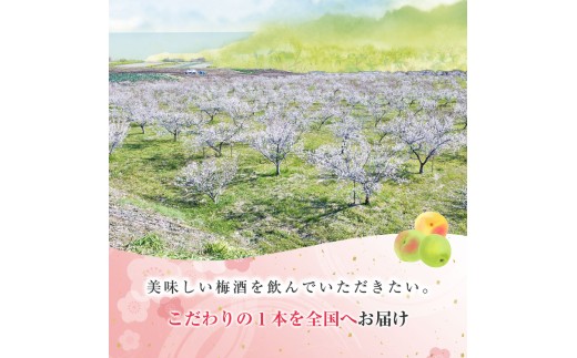 知多梅酒720ml×1本 梅酒 お酒 國盛 國盛FARM 果実酒 食前酒 リキュール ロック ソーダ割 紅南高梅 南高梅 完熟梅 フルーツ 愛知県 美浜町 中埜酒造