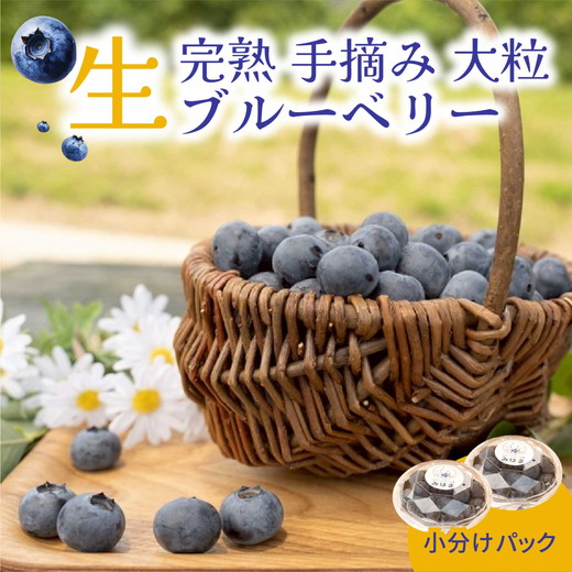大粒ブルーベリー品種ミックス 500g×2パック 果物 くだもの フルーツ ヨーグルト ジャム 国産 愛知県産 ※2026年6月上旬～8月上旬頃に順次発送予定 ※北海道・沖縄・離島への配送不可