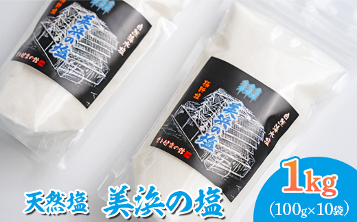 美浜の塩 1kg 100g×10袋 ｜天然塩 塩 食塩 ミネラル しお 天然 調味料 ソルト 海水塩 料理 味付 国産 おにぎり　愛知県 美浜町 食と健康の館 ※北海道・沖縄・離島への配送不可