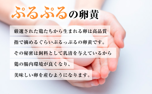 匠の卵 20個(割れ玉補償２個）7％の卵 | たまご　卵　玉子　鶏卵　生卵　プレミアム　優秀賞　愛知県　美浜町　国産　産直　卵黄　卵かけご飯