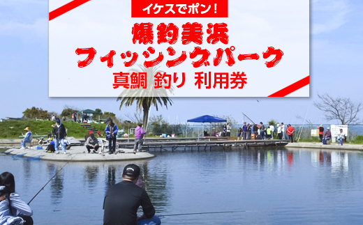 【イケスでポン！】爆釣 美浜フィッシングパーク 真鯛 釣り 体験 チケット ｜ 海釣り 釣り堀 釣堀 旅行 アクティビティ アウトドア スポーツ ギフト券 券 体験チケット 釣り竿 釣竿 竿 釣り餌 レンタル 釣 愛知県 美浜町 知多半島
