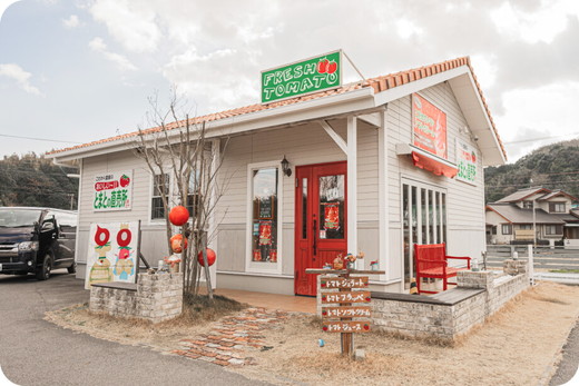 ルネッサンストマト　約3.5kg ※2026年1月上旬～5月下旬頃に順次発送予定◆