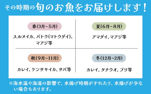 鮮度抜群！お魚おまかせ食べきり６パック・下処理加工してあるので解凍してすぐに調理できます。 ※着日指定不可 ※北海道・沖縄・離島への配送不可