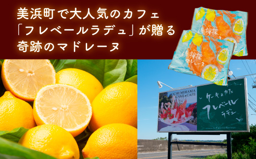 爽やかな風味♪ 美浜檸檬マドレーヌ 15個 フレベールラデュ 焼き菓子 洋菓子 スイーツ お菓子 個包装 贈り物 プレゼント 愛知県 美浜町