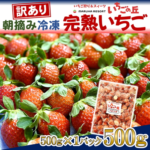 まるは食堂 マルハリゾート いちごの丘 『訳あり』 完熟 冷凍いちご 500g | 訳あり いちご イチゴ 冷凍 国産 完熟 スムージー ジャム ヨーグルト シャーベット デザート アイス おやつ 果物 フルーツ 愛知県 美浜町 ※北海道・沖縄・離島への配送不可
