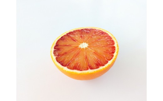 美浜町産ブラッドオレンジタロッコ　オーナー制度