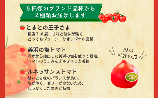 å®çãããé£ã¹æ¯ã¹ã»ããçŽ1kg 3çš®é¡ã®ããã çŸå³ããéžå¥ ïœãšãŸãš ããã æžèŸ²è¬ éè ããã äººæ° æ°é®® ç£å°çŽé çŽå£² çã é«ç³åºŠ å®ç ãªã³ãã³ ãã¿ãã³ ãã€ãšãã çŸå®¹ çŸè æç¥ç çŸæµçº â»2026幎1æäžæ¬ïœ5æäžæ¬é ã«é 次çºé