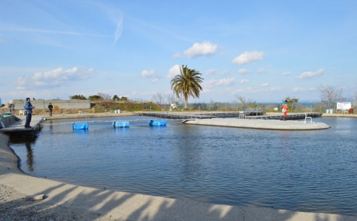 爆釣 美浜フィッシングパーク 利用券 1日券 男性用 体験 チケット ｜ 海釣り 釣り堀 釣堀 旅行 アクティビティ アウトドア スポーツ ギフト券 券 体験チケット 釣り竿 釣竿 竿 釣り餌 レンタル 釣 愛知県 美浜町 知多半島