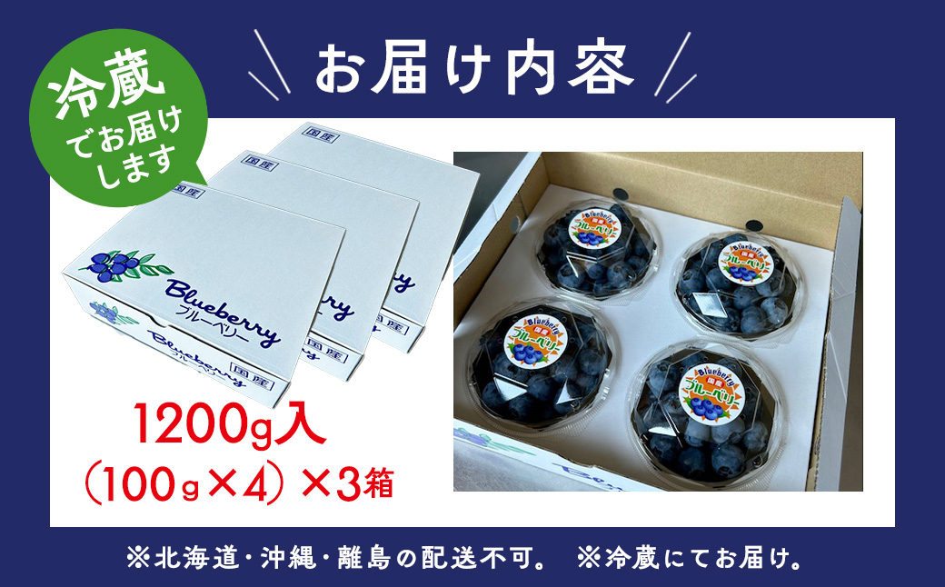 【数量＆期間限定】国産大粒ブルーベリー 100g×12パック入り ※2025年6月中旬～8月中旬に順次発送予定 ※北海道・沖縄・離島への配送不可