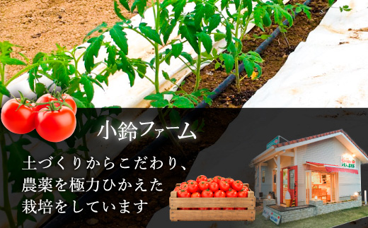 å®çãããé£ã¹æ¯ã¹ã»ããçŽ1kg 3çš®é¡ã®ããã çŸå³ããéžå¥ ïœãšãŸãš ããã æžèŸ²è¬ éè ããã äººæ° æ°é®® ç£å°çŽé çŽå£² çã é«ç³åºŠ å®ç ãªã³ãã³ ãã¿ãã³ ãã€ãšãã çŸå®¹ çŸè æç¥ç çŸæµçº â»2026幎1æäžæ¬ïœ5æäžæ¬é ã«é 次çºé