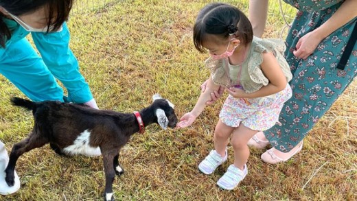 ãäœéšåè¿ç€Œåãçãã®ã€ã®ã»ã©ããŒäœéšïŒæ¥å Ž/1æé/1åïŒ