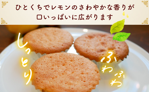 爽やかな風味♪ 美浜檸檬マドレーヌ 15個 フレベールラデュ 焼き菓子 洋菓子 スイーツ お菓子 個包装 贈り物 プレゼント 愛知県 美浜町