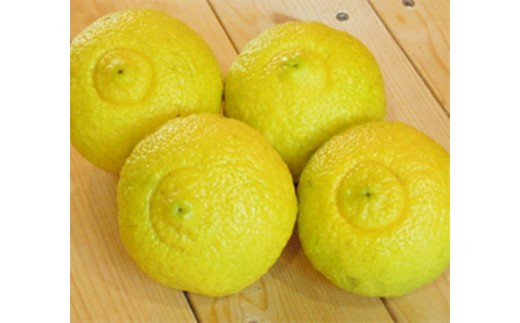 美浜町産はるか　ご家庭用　傷あり　約4kg入り ※2026年1月中旬～3月上旬頃に順次発送予定