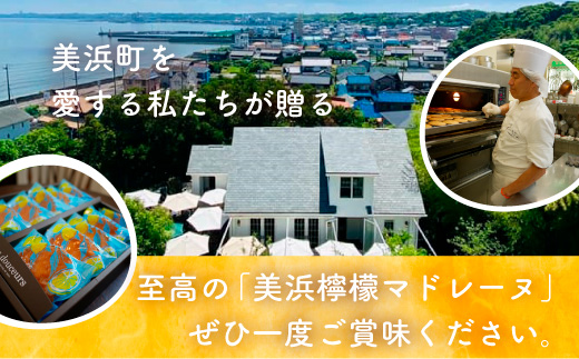 çœãããªé¢šå³âª çŸæµæªžæª¬ããã¬ãŒã 5å ãã¬ããŒã«ã©ã㥠çŒãèå æŽèå ã¹ã€ãŒã ãèå åå
è£
èŽãç© ãã¬ãŒã³ã æç¥ç çŸæµçº