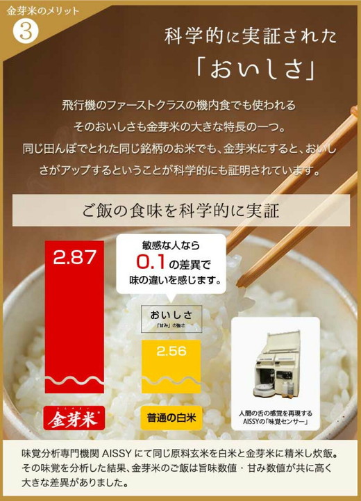 【 金芽米 】愛知県 美浜町産 にじのきらめき 5kg 無洗米｜きんめまい 米 お米 美浜町 糖質オフ BG無洗米 新米※北海道・沖縄・離島への配送不可