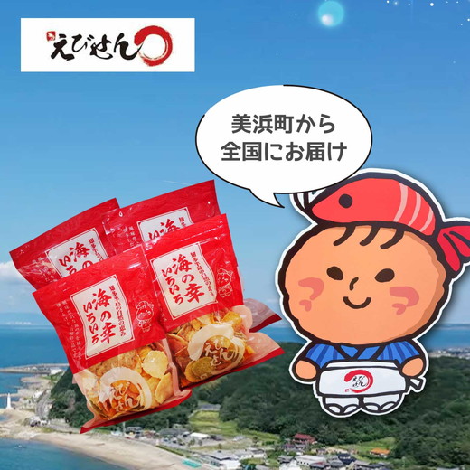 【訳あり】【定期便3ヶ月（全3回）】【いか焼き入り】海の幸いろいろ 230g×4袋 9種類アソート 大サイズ｜えびせん 詰め合わせ 大容量 アソート 愛知県 美浜町 海老 えびせんべい 煎餅 人気 おすすめ 海老せんべい お菓子 おやつ おつまみ ギフト いか いか焼 海産物