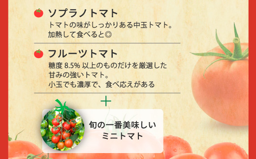 å®çãããé£ã¹æ¯ã¹ã»ããçŽ1kg 3çš®é¡ã®ããã çŸå³ããéžå¥ ïœãšãŸãš ããã æžèŸ²è¬ éè ããã äººæ° æ°é®® ç£å°çŽé çŽå£² çã é«ç³åºŠ å®ç ãªã³ãã³ ãã¿ãã³ ãã€ãšãã çŸå®¹ çŸè æç¥ç çŸæµçº â»2026幎1æäžæ¬ïœ5æäžæ¬é ã«é 次çºé