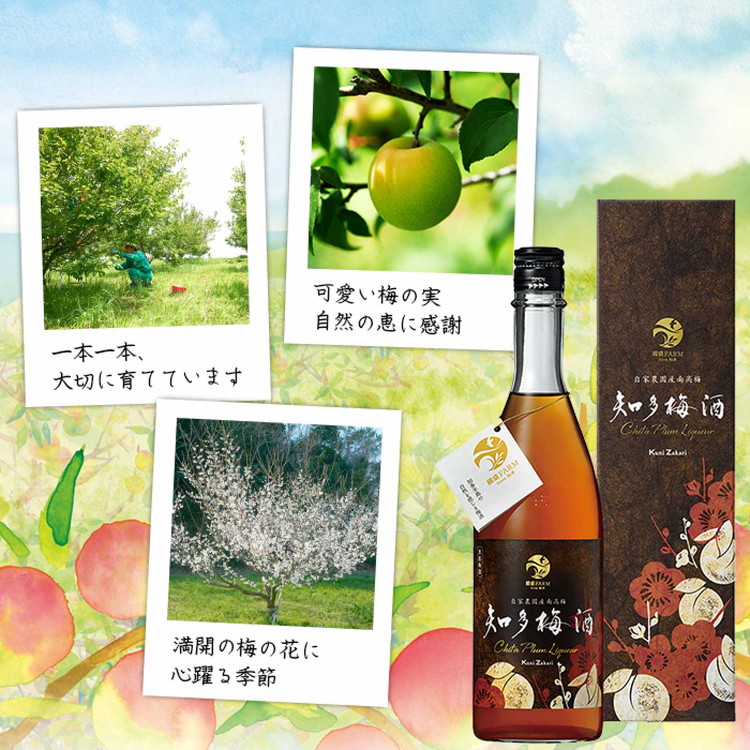 知多梅酒720ml 1ケース ◆ ❘ 梅酒　お酒　國盛　國盛FARM　果実酒　食前酒　リキュール　ロック　ソーダ割　紅南高梅　南高梅　完熟梅　フルーツ　愛知県　美浜町　中埜酒造