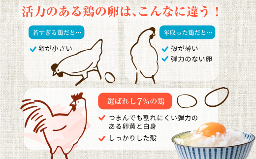 【定期便3ヶ月】匠の卵 20個(割れ玉補償２個）7％の卵｜たまご　卵　玉子　鶏卵　生卵　プレミアム　優秀賞　愛知県　美浜町　国産　産直　卵黄　卵かけご飯