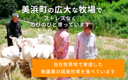 低温殺菌ペット用ヤギミルク 200ml×4本 愛知ヤギ農場 牧場直送 自然放牧 犬 猫 無添加 無着色 アミノ酸 ミネラルたんぱく質 豊富 ※離島への配送不可