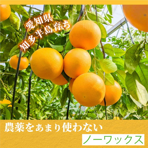 ãå
è¡åä»äºçŽãåœç£ã°ã¬ãŒããã«ãŒã å®¶åºçš7kgïŒ15ïœ20çïŒ èš³ãã ææ© ã¹ã¿ãŒã«ã㌠ããŒã¯ãã¯ã¹ é²è
å€ãªã æç© ãžã¥ãŒã¹ ãžã£ã éæ æ¬ ã¢ãã ã§ããã ã蟲è¬ã䜿ããªã â»2026幎5æäžæ¬ïœ8æäžæ¬é ã«é 次çºéäºå®