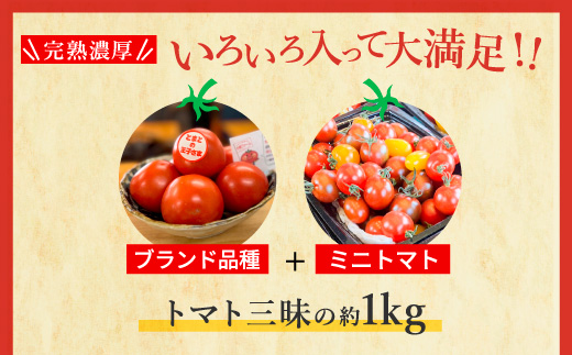 å®çãããé£ã¹æ¯ã¹ã»ããçŽ1kg 3çš®é¡ã®ããã çŸå³ããéžå¥ ïœãšãŸãš ããã æžèŸ²è¬ éè ããã äººæ° æ°é®® ç£å°çŽé çŽå£² çã é«ç³åºŠ å®ç ãªã³ãã³ ãã¿ãã³ ãã€ãšãã çŸå®¹ çŸè æç¥ç çŸæµçº â»2026幎1æäžæ¬ïœ5æäžæ¬é ã«é 次çºé