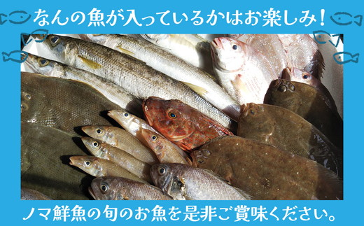 鮮度抜群！お魚おまかせ食べきり６パック・下処理加工してあるので解凍してすぐに調理できます。 ※着日指定不可 ※北海道・沖縄・離島への配送不可