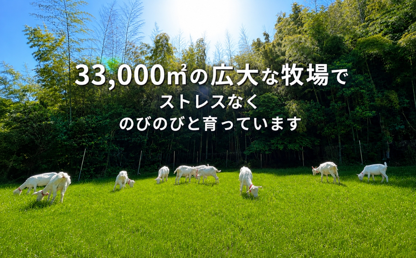 【定期便6回】国産グラスフェッド【人間・ペット兼用】粉末ヤギミルク80g×1袋 フリーズドライ加工（愛知ヤギ農場産） | 栄養満点 全脂粉乳 無添加 パウダー 山羊乳 送料無料